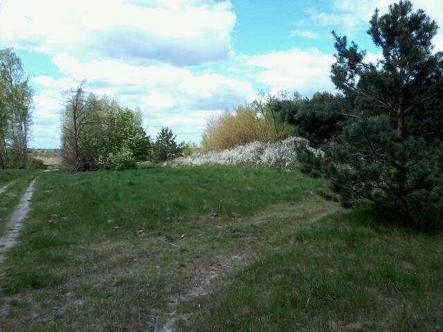 Działka 0,30 ha, Toruń gm. Rejowiec Fabryczny