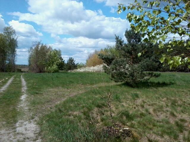 Działka 0,30 ha, Toruń gm. Rejowiec Fabryczny