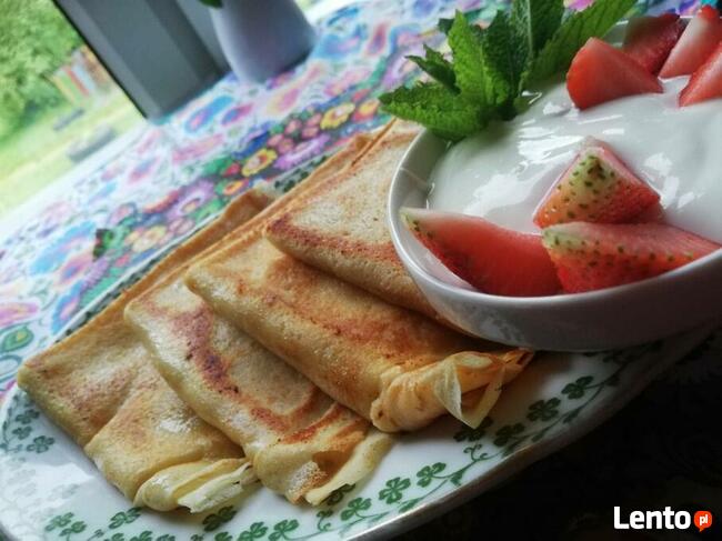 Domki noclegowe z atrakcjami na terenie ośrodka