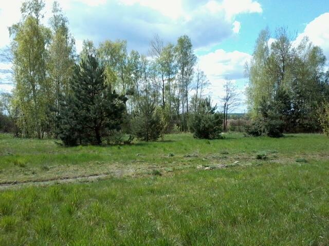 Działka 0,30 ha, Toruń gm. Rejowiec Fabryczny