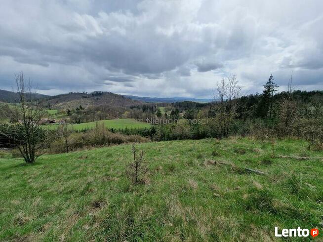 Na sprzedaż 13 działek budowlanych Wilcza