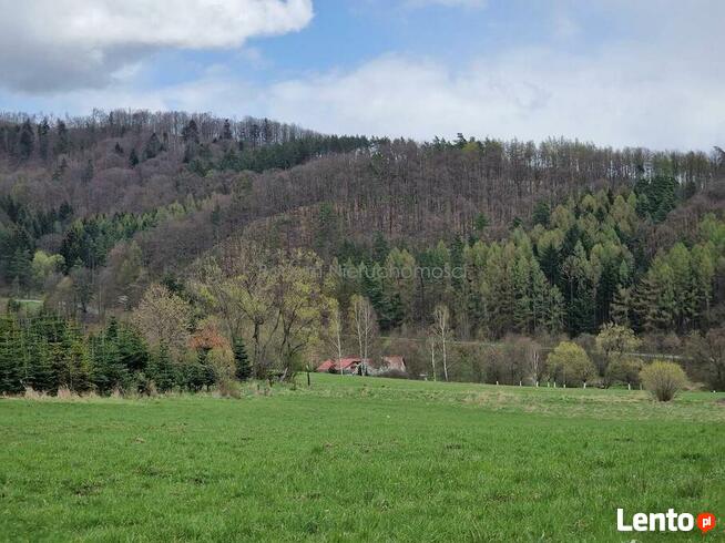 Na sprzedaż 13 działek budowlanych Wilcza
