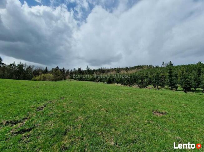 Na sprzedaż 13 działek budowlanych Wilcza