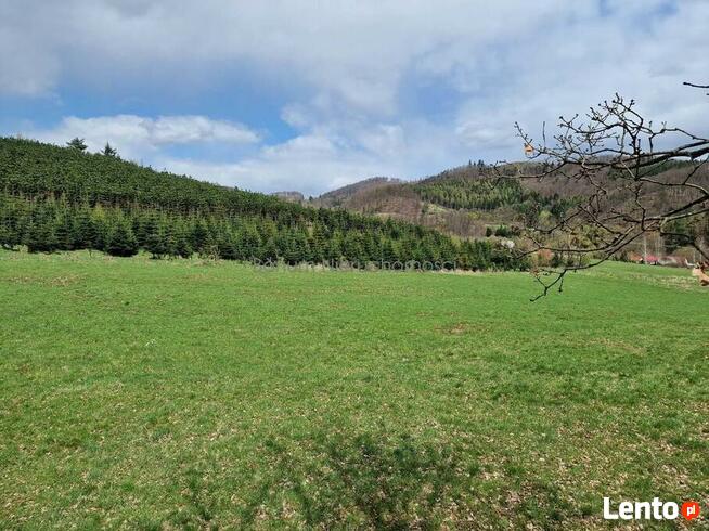 Na sprzedaż 13 działek budowlanych Wilcza