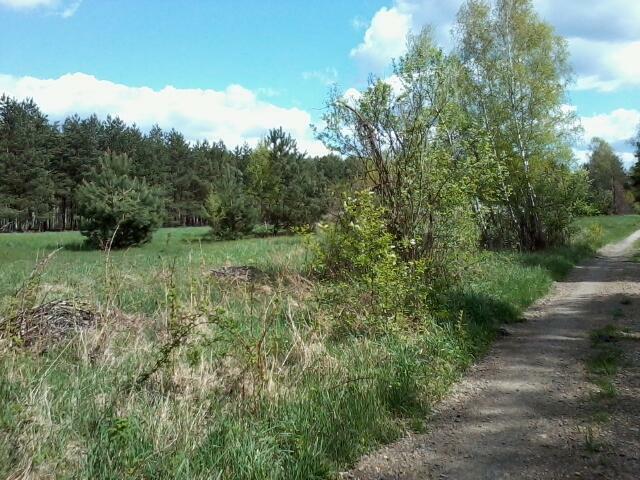 Działka 0,30 ha, Toruń gm. Rejowiec Fabryczny