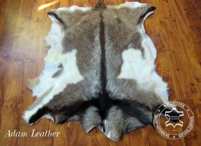 Skóry zwierząt afrykańskich, kozich, z dzika i inne.