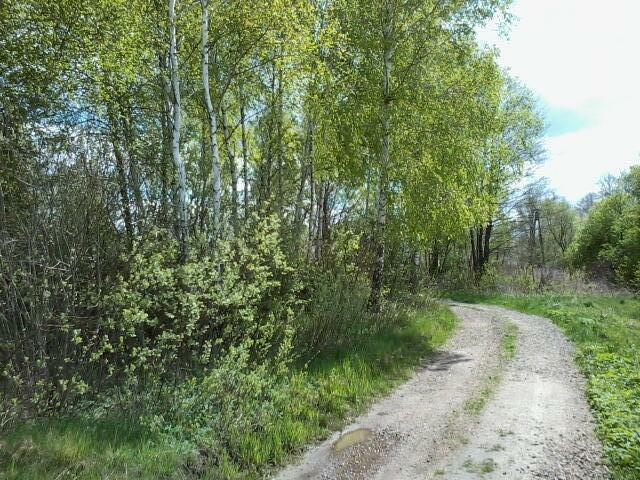 Działka 0,30 ha, Toruń gm. Rejowiec Fabryczny