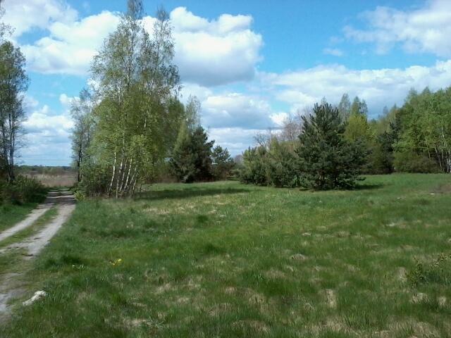 Działka 0,30 ha, Toruń gm. Rejowiec Fabryczny