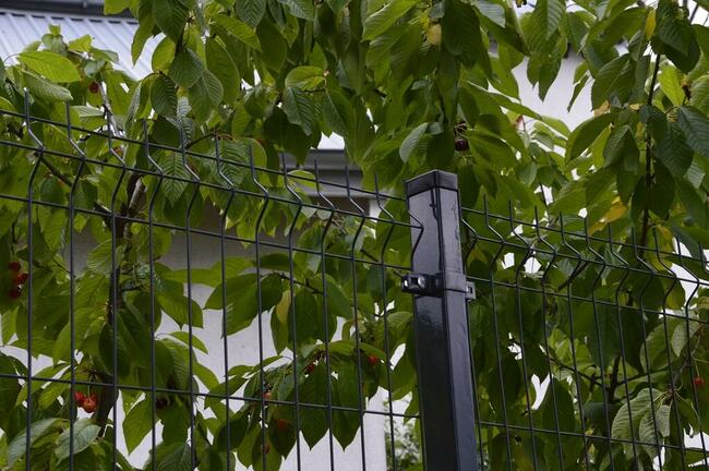 Ogrodzenia panelowe kompleksowo