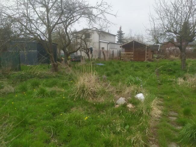 Działka rekreacyjna ROD Port Centralny