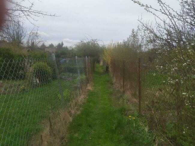 Działka rekreacyjna ROD Port Centralny