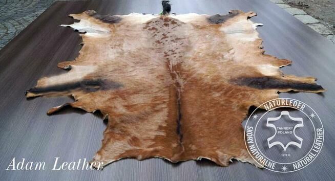 Skóry zwierząt afrykańskich, kozich, z dzika i inne.