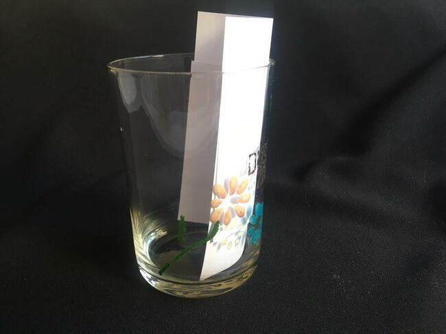 PRL szklanka Duszniki Zdrój 1957r.