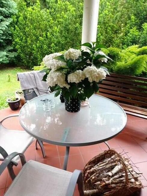 Niepowtarzalny dom na pięknej działce