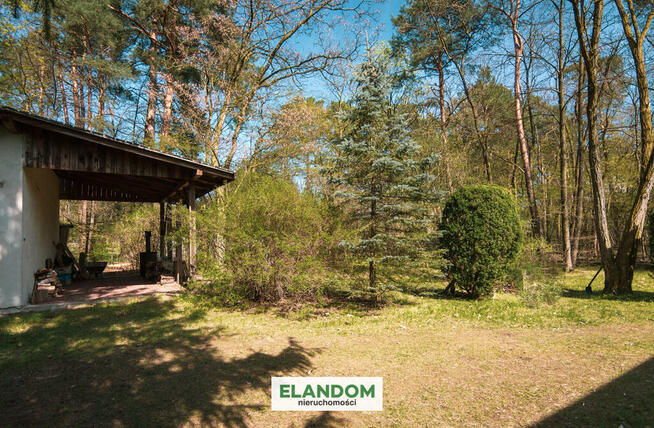 Duża działka budowlana Józefów ul. Kościuszki