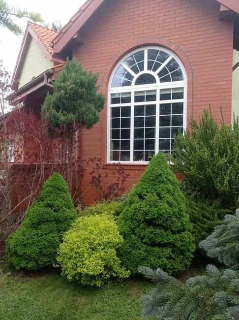 Niepowtarzalny dom na pięknej działce