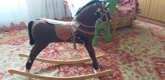 Sprzedam konika na biegunach