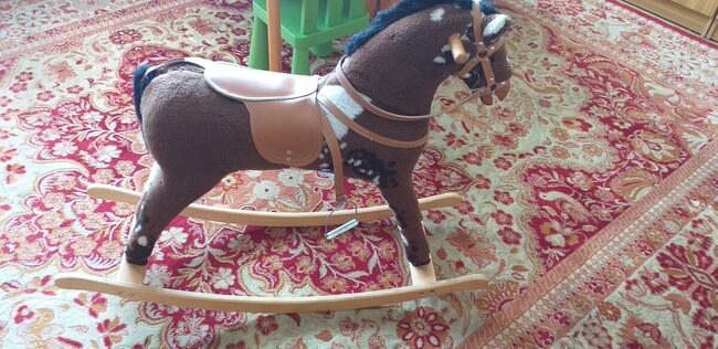 Sprzedam konika na biegunach