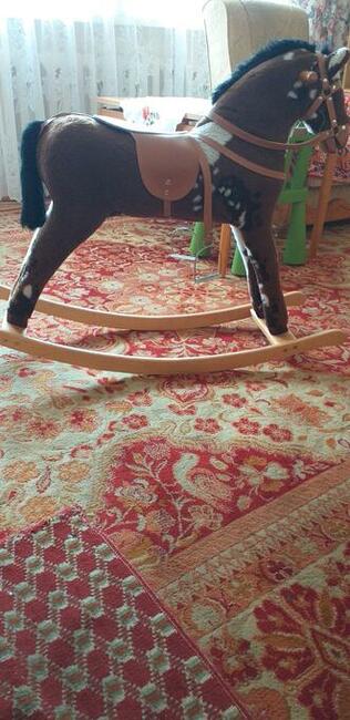 Sprzedam konika na biegunach