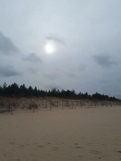 Wynajem pokoi/domków Gdańsk Wyspa Sobieszewska