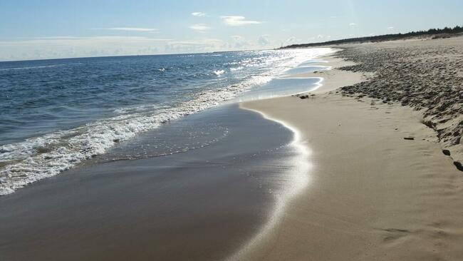 Wynajem pokoi/domków Gdańsk Wyspa Sobieszewska