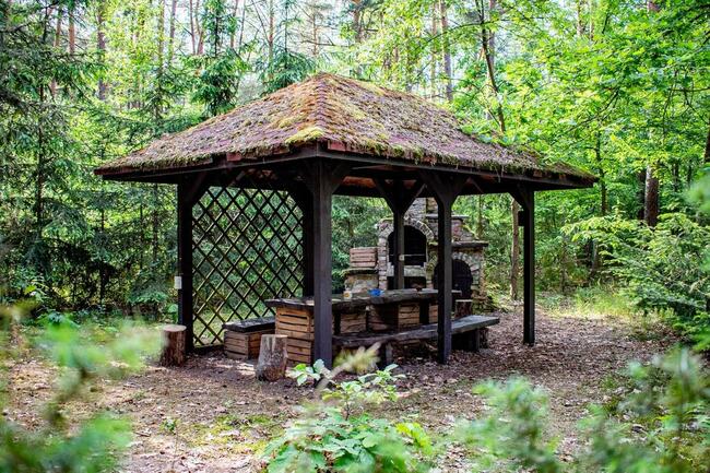 3 domy letniskowe blisko Wawy - 12 osób. Las, woda, hamaki