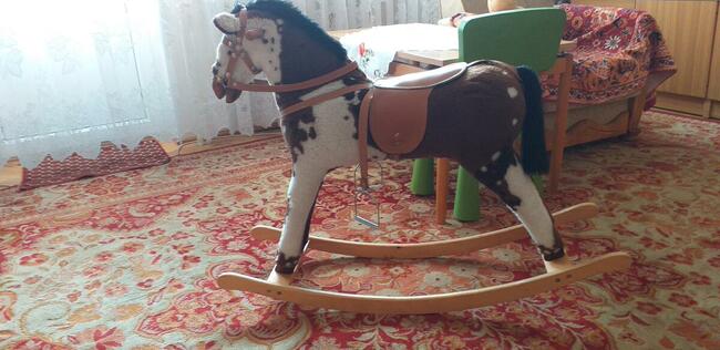 Sprzedam konika na biegunach