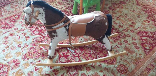 Sprzedam konika na biegunach