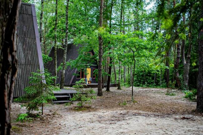 3 domy letniskowe blisko Wawy - 12 osób. Las, woda, hamaki