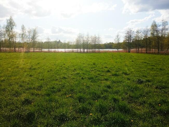 Działka w Udrynie z linią brzegową jeziora