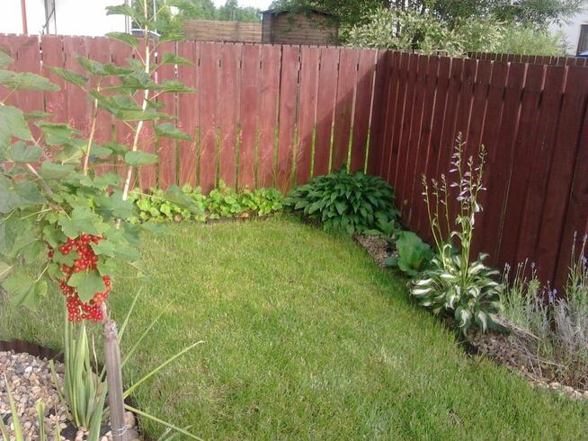 Smolec 40m + ogródek