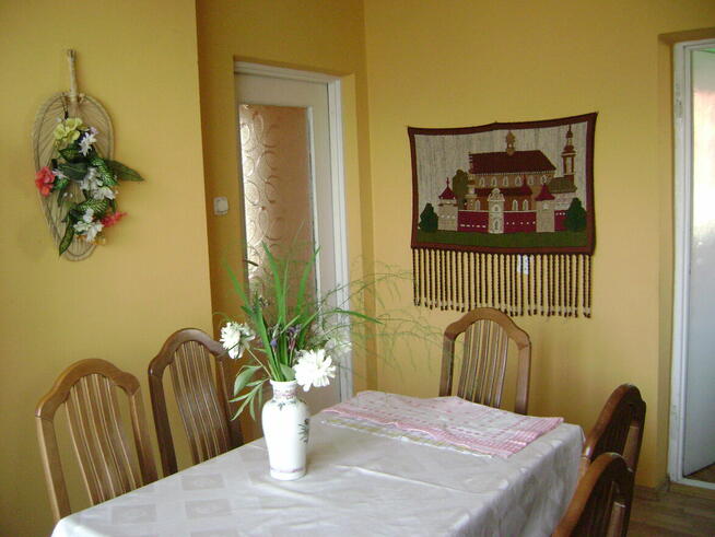 Dom działka25ar.-Biedronka, Pepco, Media Expert sprzedam