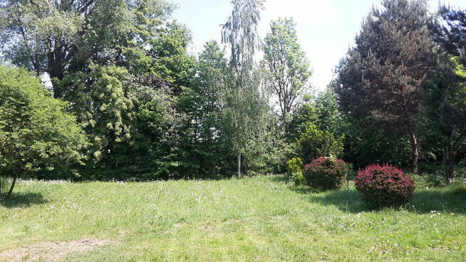 Dom działka25ar.-Biedronka, Pepco, Media Expert sprzedam