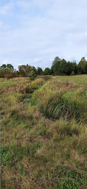 Sprzedam działkę rolno-budowlaną w Pawłach. 3,18 ha,