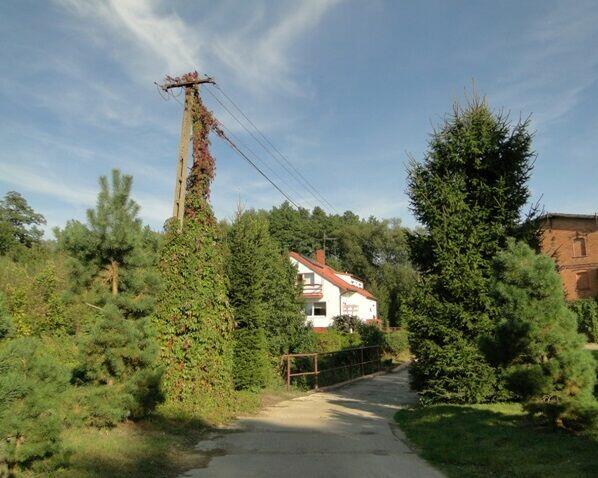 Agroturystyka_Pole namiotowe_Spływy kajakowe rzeką Wel