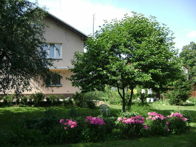 Dom działka25ar.-Biedronka, Pepco, Media Expert sprzedam