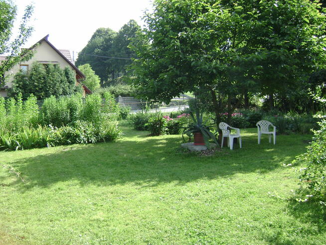 Dom działka25ar.-Biedronka, Pepco, Media Expert sprzedam