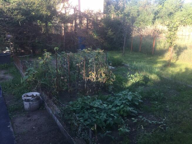 Działka ROD OSOBOWICE ul. Krotoszyńska