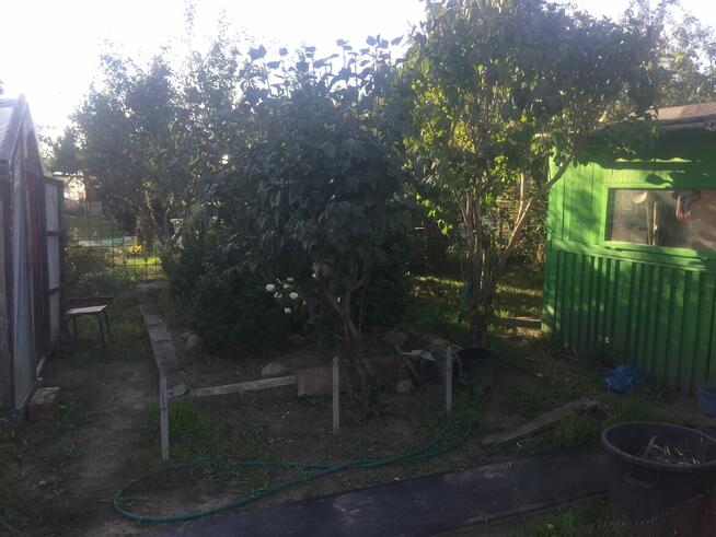 Działka ROD OSOBOWICE ul. Krotoszyńska