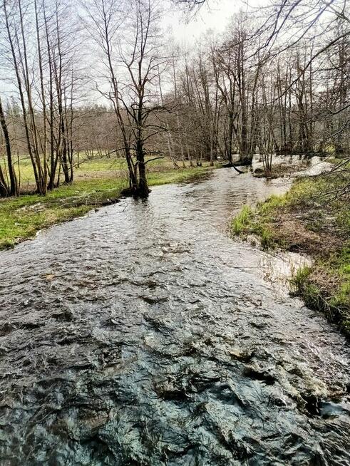 Spływy kajakowe na Kaszubach