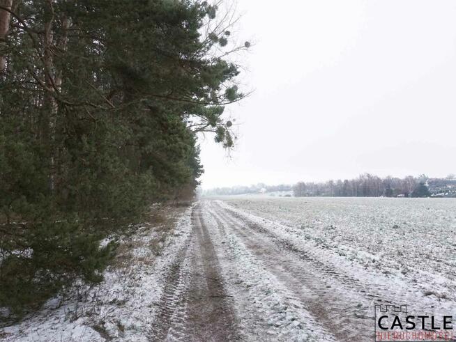 Dom Zielątkowo gm. Suchy Las,