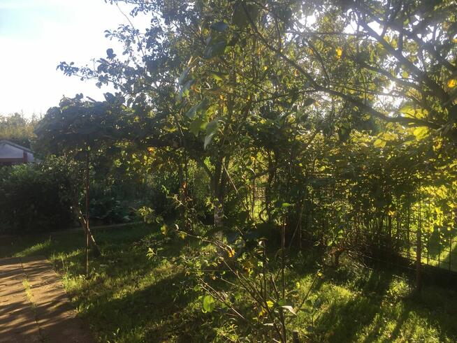 Działka ROD OSOBOWICE ul. Krotoszyńska