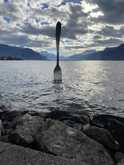 Poszukuje kobiety na cale zycie