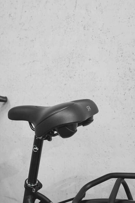 Rower Miejski Trekkingowy Gazelle Esprit T3 28