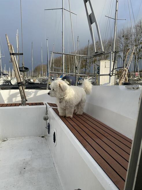 Poszukuje kobiety na cale zycie