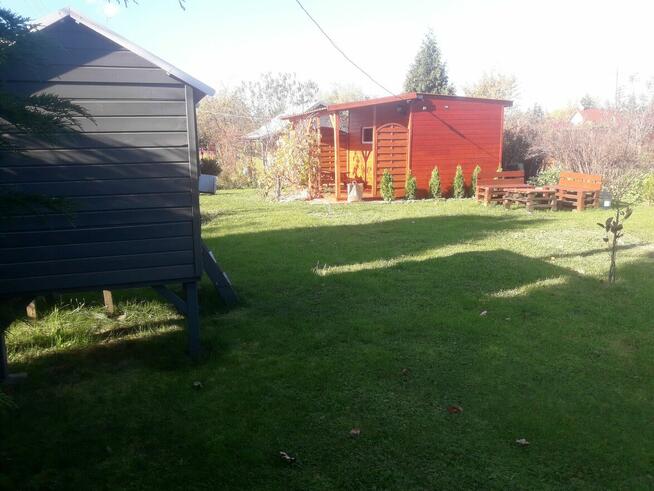 Działka ROD Marcinka