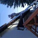 Usuwanie gniazd os i szerszeni