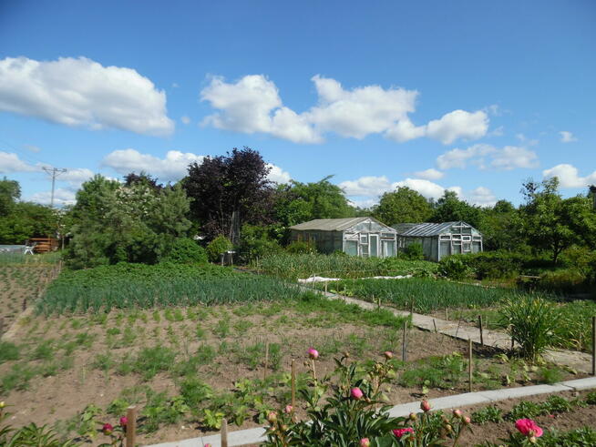 Działka ROd - Jedność Ostróda pow. 480m2