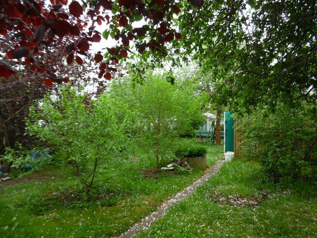 Działka ROd - Jedność Ostróda pow. 480m2