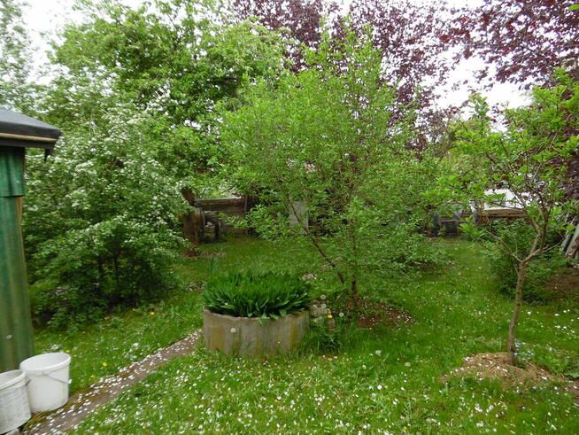 Działka ROd - Jedność Ostróda pow. 480m2